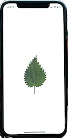 nettle phone